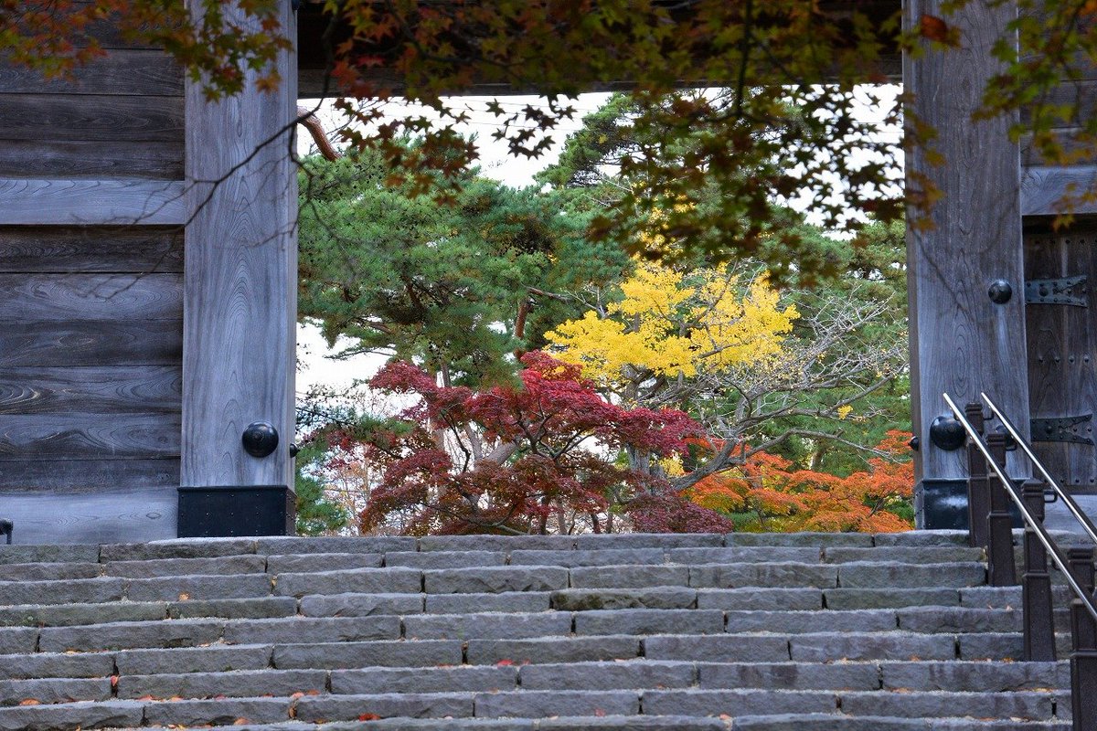 Shimu 僕の歩く町 千秋公園の紅葉 かなり色づいてきました 今週末が見ごろでしょうか 2枚目は表門のオオモミジ 3枚目は与次郎稲荷のイチョウ 4枚目は多門長屋跡のイタヤカエデ 表門のモミジが見ごろになると角館武家屋敷通りの紅葉も見ごろになる Shimu 僕の歩く町 千秋公園の紅葉 かなり色づいてきました 今週末が見ごろでしょうか 2枚目は表門のオオモミジ 3枚目は与次郎稲荷のイチョウ 4枚目は多門長屋跡のイタヤカエデ 表門のモミジが見ごろになると角館武家屋敷通りの紅葉も見ごろになる