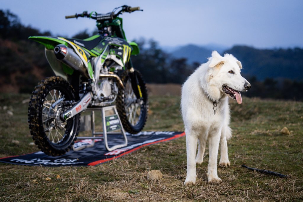 kjm48nx's tweet image. NOTION-X &amp;amp; 肘爆Photo &amp;amp; イッヌ
#notionx #肘爆photo #イッヌ