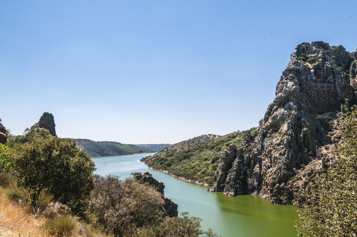 EspanaEnLatam's tweet image. ¿Sabías que #LaTierra tiene 701 #ReservasDeLaBiosfera en 124 países y que #España lidera este ranking?👌
Declaradas por la @UNESCO en su programa del @UNESCO_MAB, trata de concienciar sobre el #DesarrolloSostenible en el mundo👍 
Estas son:
👉 buff.ly/36AeA8M
#VisitSpain
