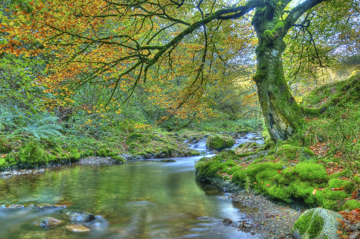 EspanaEnLatam's tweet image. ¿Sabías que #LaTierra tiene 701 #ReservasDeLaBiosfera en 124 países y que #España lidera este ranking?👌
Declaradas por la @UNESCO en su programa del @UNESCO_MAB, trata de concienciar sobre el #DesarrolloSostenible en el mundo👍 
Estas son:
👉 buff.ly/36AeA8M
#VisitSpain
