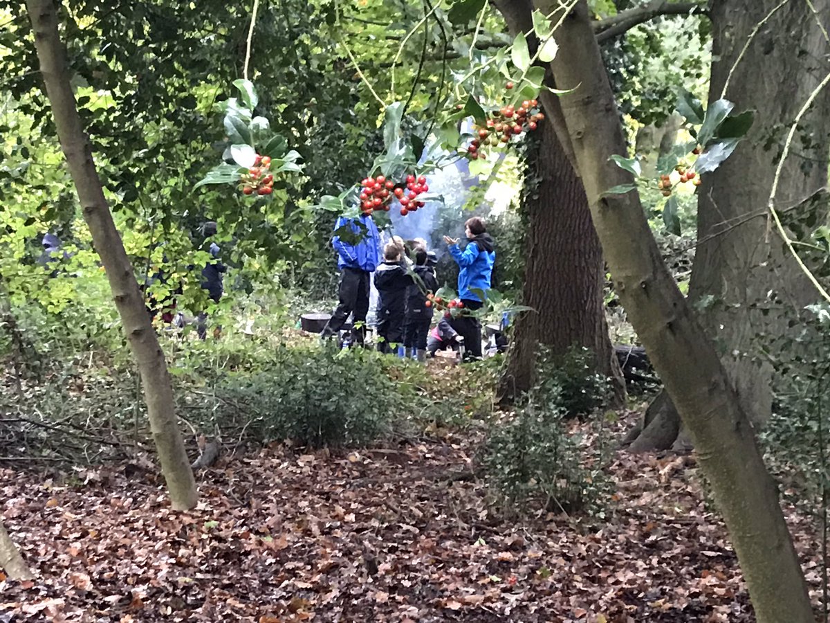 thorpehousesch's tweet photo. #ThorpeExplorers Yr3 enjoying a Forest School experience! Crafting guys and bracelets from elder beads, Forest fun and tasty snacks at ‘The Smoky Doughball’! @iapsuk @LitLangAcademy @GoodSchoolsUK @ForestSchoolUK @GXonline @BeaconsfieldL @muddystiletto https://t.co/cDnYtbr76E