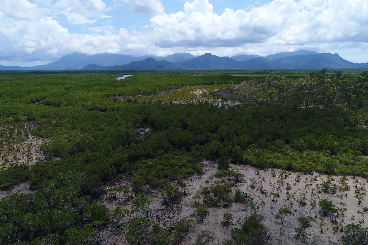 fern_adame's tweet photo. This is how coastal #wetlands protect the #GreatBarrierReef from excess nitrogen during #floods:

https://t.co/WL26asdcQU

@globalwetlands @GriffithARI @MelanieEmmajade @ndehedehe  @Jing_Lu3 @profhamatham https://t.co/b6t54Fv03k