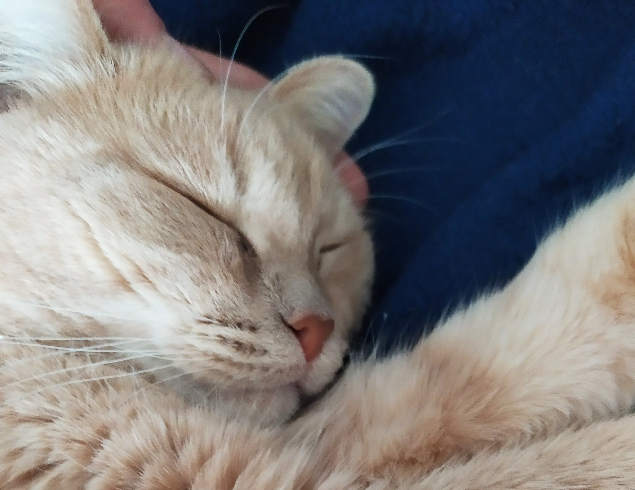  Happy birthday my dear, you so great 