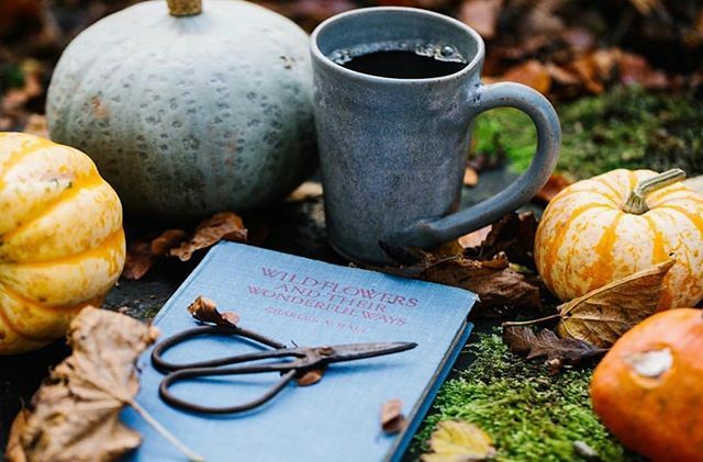 Ooo it feels like the nights are drawing in and the days are getting cooler — beautiful shot from @bellsanddaisies by @photography_by_kyle_official new artisan shop + florist at Wyresdale now o p e n 🍂 ift.tt/2JQxBdn