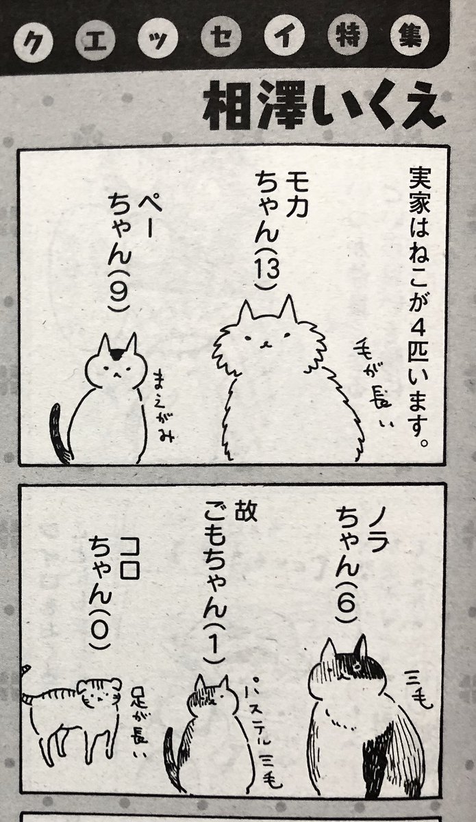 あと今回のまんがタウンは猫のエッセイも載ってます!実家の猫と、よく行く猫カフェのことを描きました〜、よろしくお願いします! 