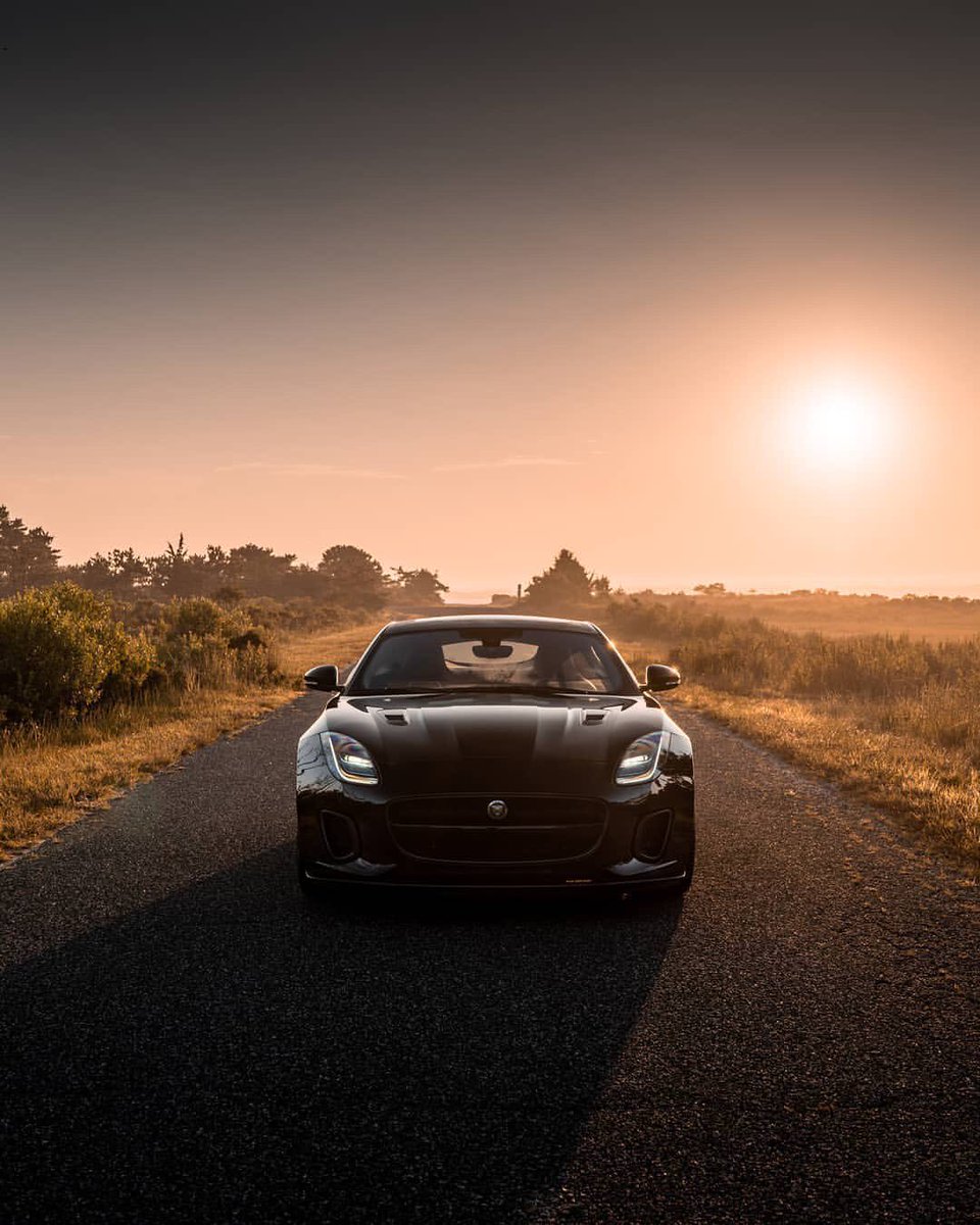 A.M. Capurro tweet media