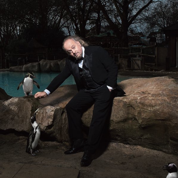 BillBailey's tweet photo. There’s still time to vote in New Zealand’s #BirdOfTheYear , so why not give some love to the Rockhopper Penguin check out @Team_Rockhopper for some top photos and info, plus here’s a snap of me with Ricky the Rockhopper  @zsllondonzoo https://t.co/g538V5YM93
