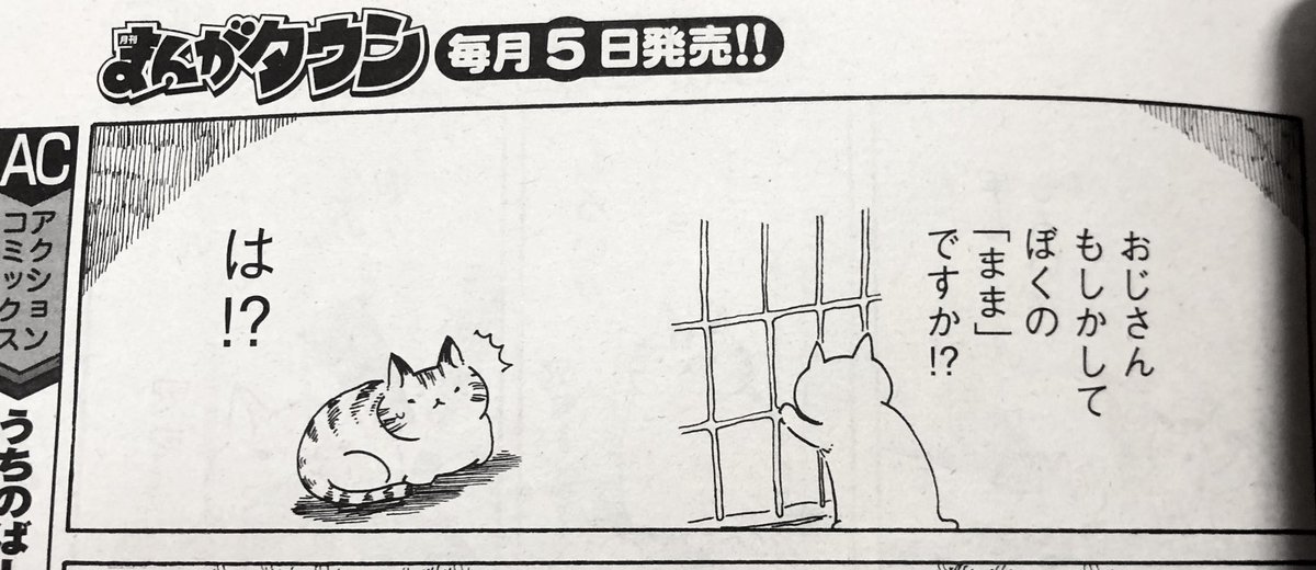 珈琲と猫の隠れ家 第9回は、新しく保護された子猫のお話です! 