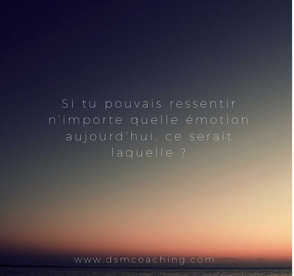 ClaaudiaMeloni's tweet photo. Et toi ça serait laquelle ? 🤔⤵️🤳🏼📝
.
#coaching #developpementpersonnel #coach #emotions #EmotionalIntelligence #emotions https://t.co/vxqjlDyrOi