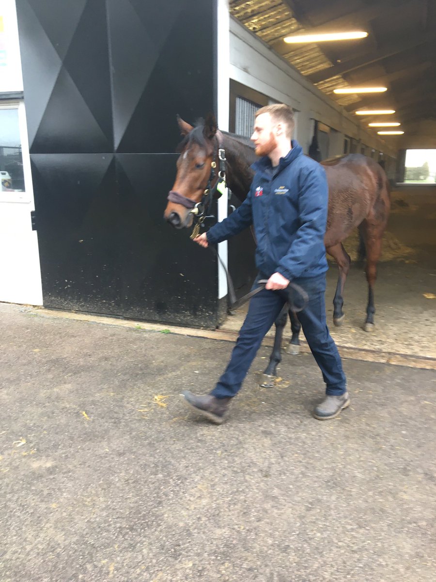 NationalStudTraining tweet media