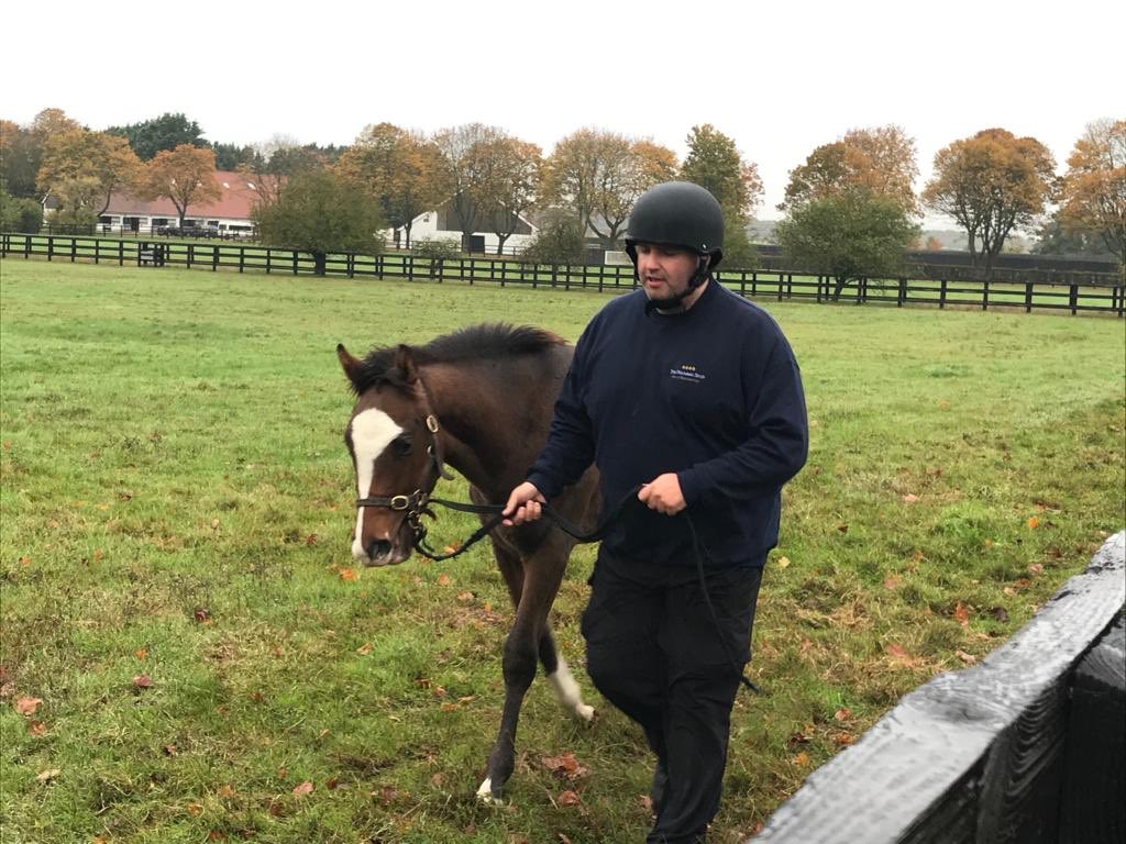 NationalStudTraining tweet media