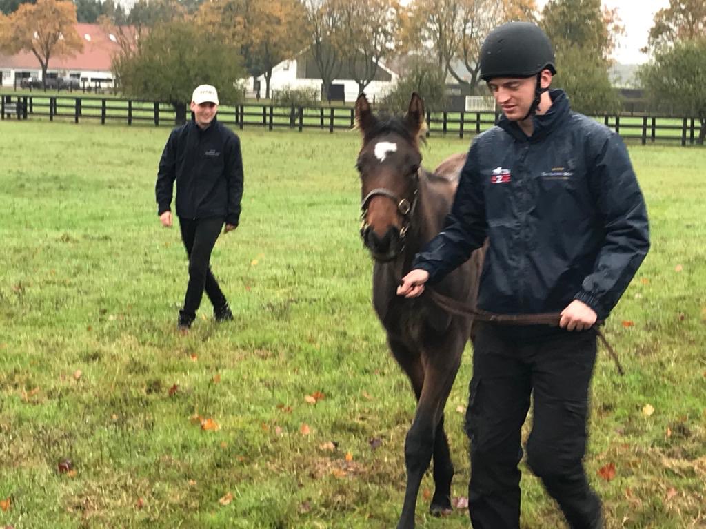 NationalStudTraining tweet media