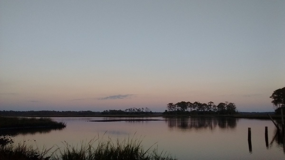 FL_Amanda_'s tweet photo. Good morning Tuesday! #Sunrise #TuesdayMorning #Florida #TuesdayMotivation #LoveFl #VisitFlorida #GulfOfMexico #CedarKey #ShellMound #SaltLife #Salty #SaltMarsh https://t.co/sydnbFOPpZ