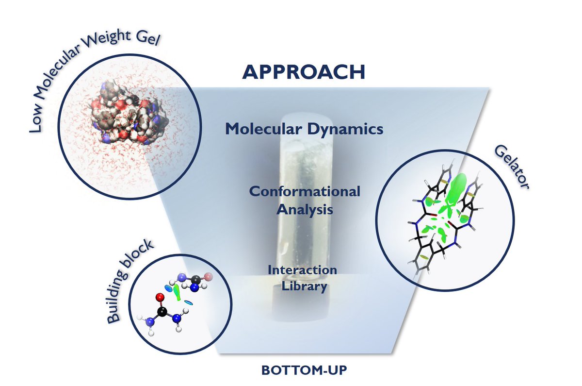 MolDesignS Lab tweet media