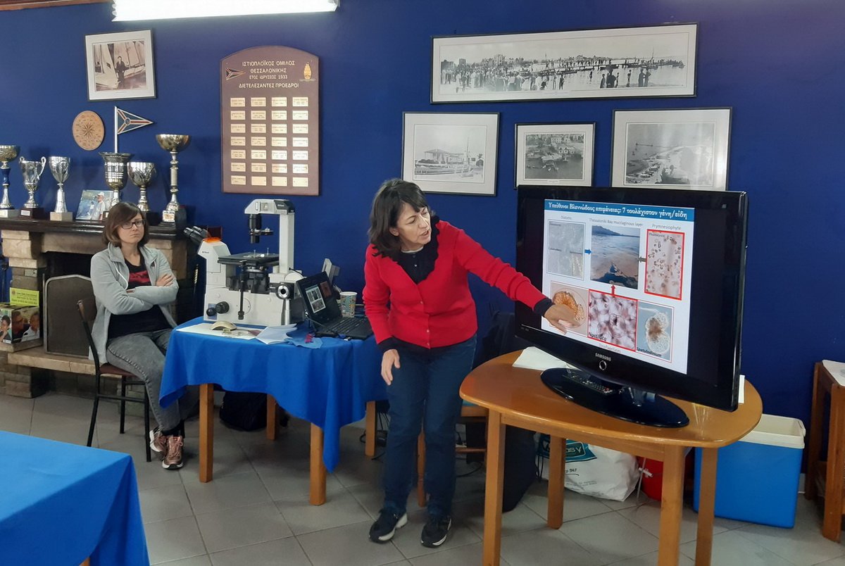 Axios_Delta's tweet image. «Η ζωή σε μια σταγόνα Θερμαϊκού»! Μικροοργανισμοί, βακτήρια, είδη-εισβολείς, τα είδαμε μέσα από το ερευνητικό μικροσκόπιο του #ΑΠΘ. Στη φωτό ο noctiluca που προκαλεί κατά 90% το φαινόμενο της ερυθράς παλίρροιας.
bit.ly/2pyGuSg