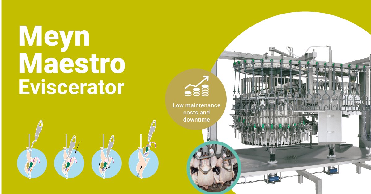 MeynPoultry's tweet image. From 6 to 8 November Meyn participates in the AgroWorld Kazakhstan. You can learn more about the Maestro eviscerator, the Meyn support products and services, and many more. Come see us in Hall 10 | Booth 348.