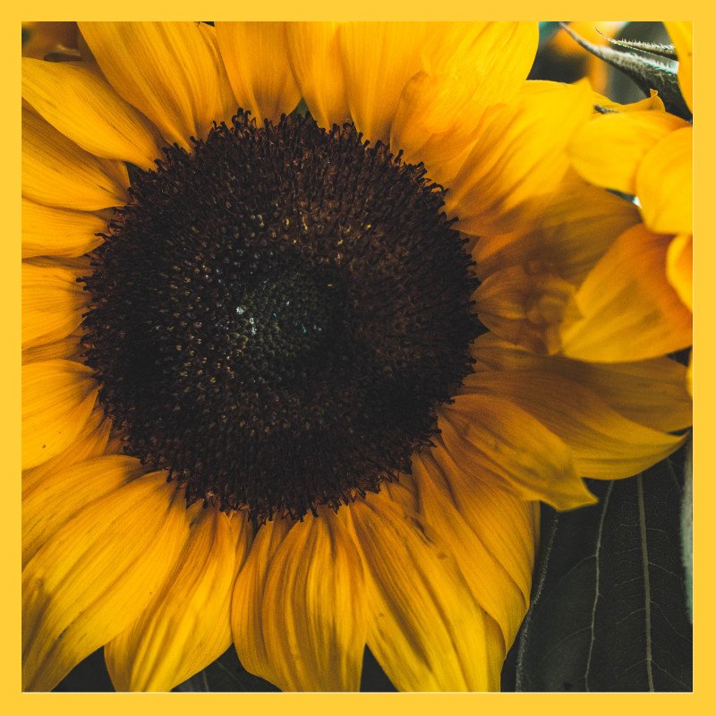 becoming_avery's tweet photo. When you think of that beautiful goal that you want to achieve, are you stuck taking that first step?

https://t.co/IsyqLQppy2

#selftalk #motivation https://t.co/qRkDP4qT7a