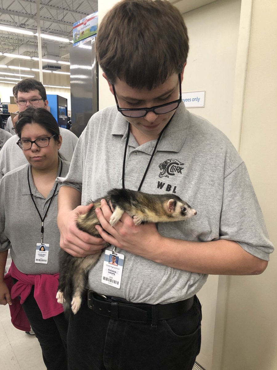 nataliequichoc1's tweet photo. WBL exploring jobs positions at PetCo! Always a plus when you can hold a FERRET #jobexploration https://t.co/59jfUBSIc4
