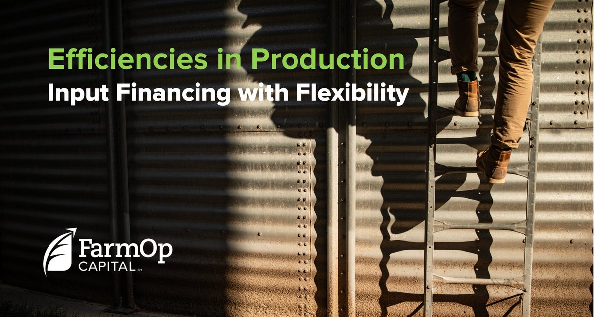 You’ve found efficiencies in production. Now, find efficiencies in your working capital.