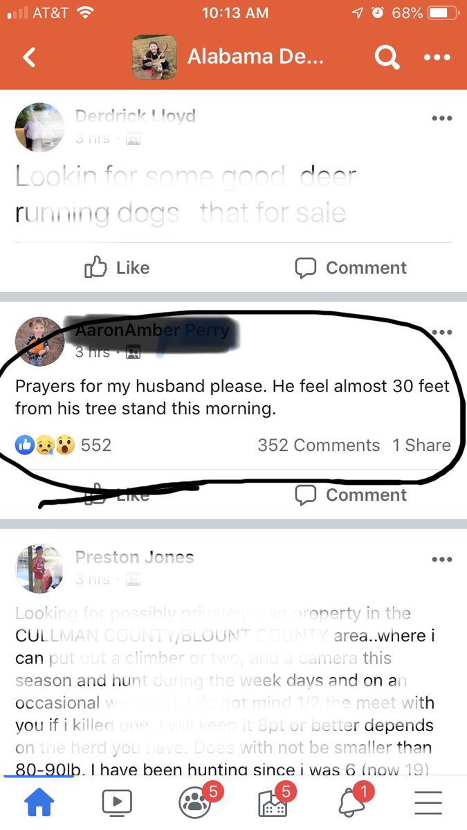 Tree Stand Safety tweet media