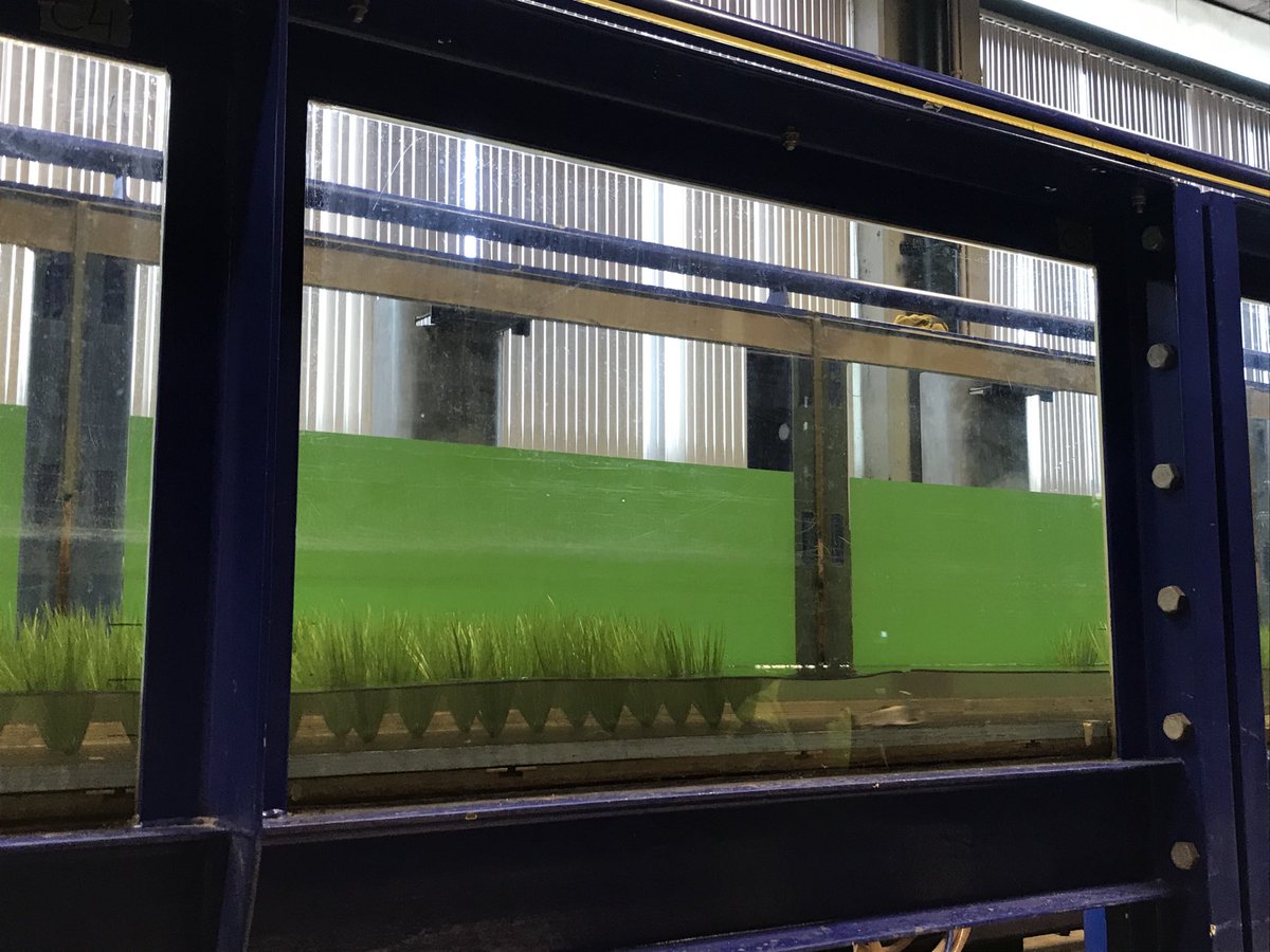 BoavidaIsabel's tweet photo. New set of experiments at IST laboratory. Let's see how the Iberian barbel move in these conditions.
#sustainablehydropower #hydropeaking #fishexperiments https://t.co/4urwNqfBRs