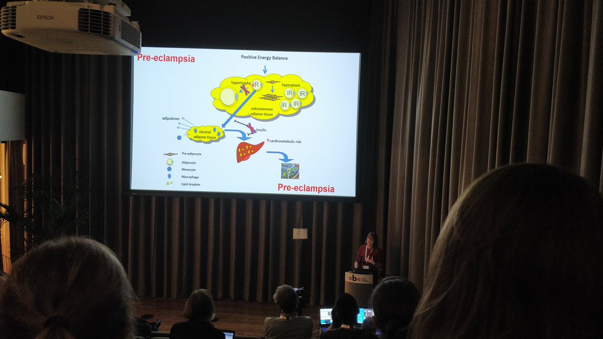 CeulemansDries's tweet photo. Dilys Freeman closes the first day of #hottopicsconference. Placental fat is higher in pre-eclampsia. Correlates with earlier talk bij Antonio Vindal-Puig on adipose tisseu expansion. 
#BiochemEvent @WorldObesity https://t.co/rgVHxs4P4t