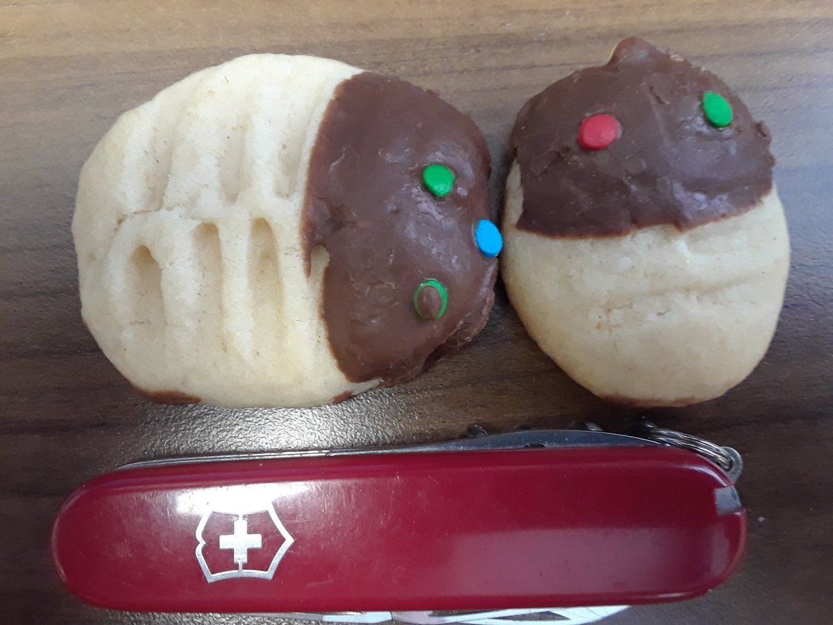 rockswhisperer's tweet photo. The #Structuralist used to think deformed trilobites were the best...now leaning towards these trilobite shortbread cookies that were a bake sale buy from our student Association of Engineering & Environmental Geologists @AEGweb https://t.co/e3yKeAAjfk