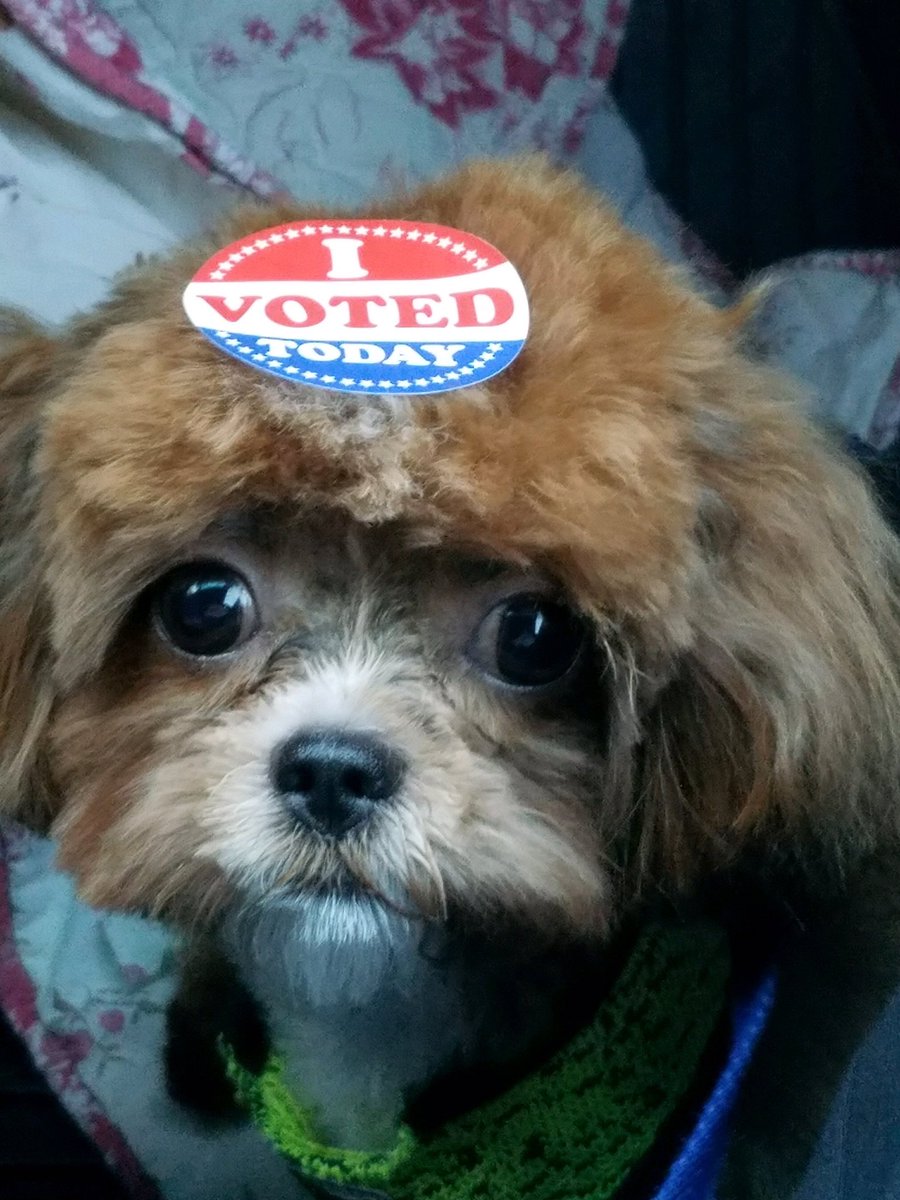 Robert_Auth's tweet image. Win or lose, this is enough for me. Bergen County Vote Column #1 Passaic County Column #2 THANK YOU! #BergenGOP #PassaicGOP #StopMurphy #ReduceTaxes