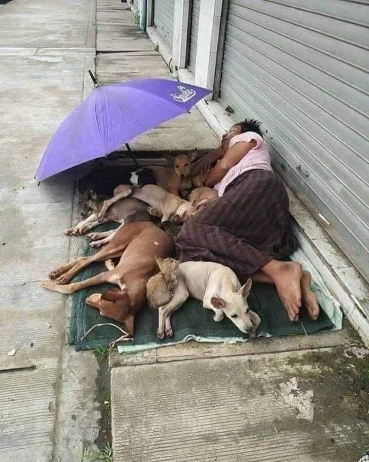 SosAbuelos1's tweet photo. "Bienaventurados los locos, porque de ellos será
el reino de los sueños. 💖🐾"
Haz lo que puedas.....#AMA, #COMPARTE, #ACOGE, #ADOPTA!!! pero siempre, siempre #QUIERELOS!!!! https://t.co/5OO4rpbGXn