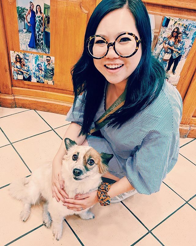 traceofneon's tweet photo. Awww little Belín. I remember seeing this little gal in #Positano and following her down the hill, into a store, just to pet her. Such a creeper. #dogspotting #dogsofitaly #traceofitaly https://t.co/aBMt3F48Fm https://t.co/oaLhCGFIFj
