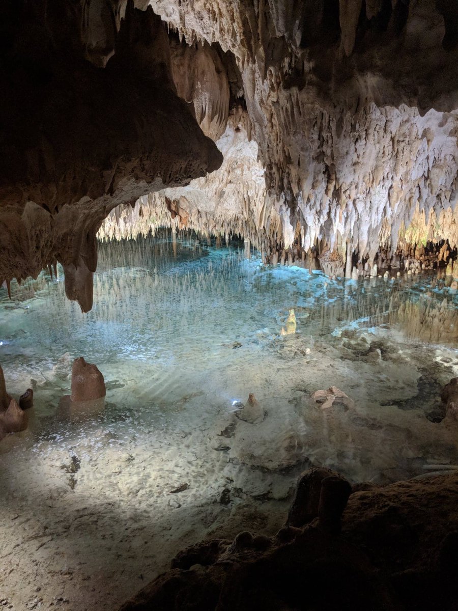 The Cayman #CrystalCaves are the perfect family-friendly activity. Learn about the history of the caves while admiring this crystal-clear underground lake: buff.ly/2Ndxdbe.
