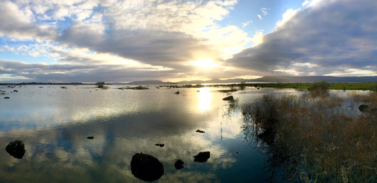 jessicagrehan's tweet image. Very low wintry light even though it’s just 4.30 pm and only the start of November - beautiful though!