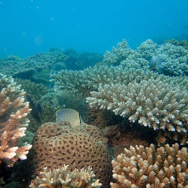 BlueVentures's tweet photo. Daily photos from blueventures. Get the full story at https://t.co/987Zy2odS9 #blueventures https://t.co/RORmIL5sIZ