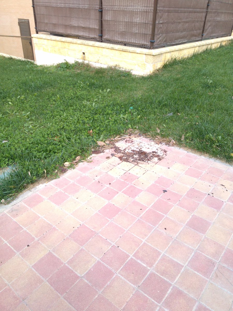 Cuando vinimos al barrio de Agfa hace años, había árboles nuevos. Papeleras que ha quitado en estas semanas...a ver si toman nota desde la concejalía para su reposición.<a href="/HeraldoAranjuez/">Heraldo de Aranjuez 🗞</a>