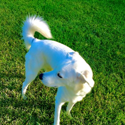 MintyYoutube's tweet photo. #NewProfilePic https://t.co/VGYqqEQVmR