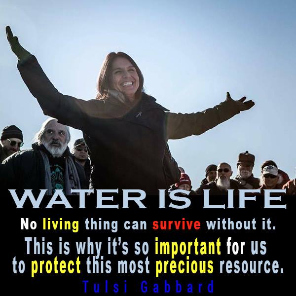 dcfairbank's tweet photo. @MetcalfeMegan @BernieSanders @DNC @EWarren As a "Native American" where were you when police used water cannons against indigenous people in freezing weather? #MajorGabbard was there. @TulsiGabbard to Join Veterans at #StandingRock to Protest Dakota Access Pipeline https://t.co/KldUqJgbFv #DAPLNoShow #NeverWarren https://t.co/8S740g6JjO
