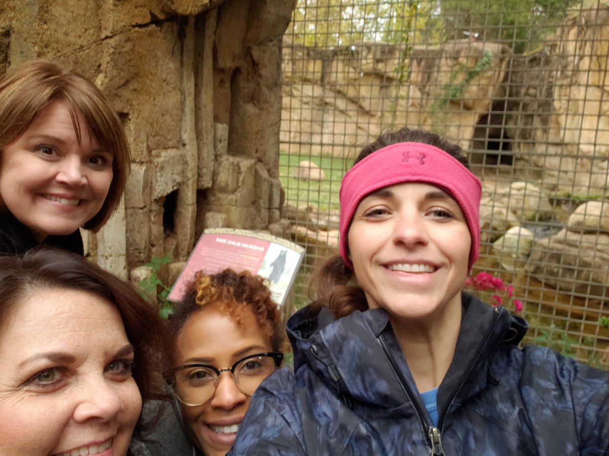 cherylwscott's tweet photo. Black bears!! #TeamDCS #wegrewweareatthezoo @DrFloate @russell_sj @TweetDCS_HMS https://t.co/FH7O1ClMTN