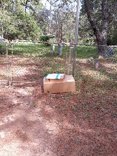 Norvia Read tweet media