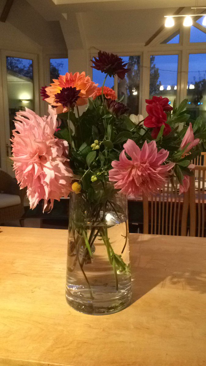 teegoodacre's tweet photo. Poetic beauty of my garden dahlias offset by the sadness that they’re in such flower in November. #climatecatastrophe #beauty #fadingworld https://t.co/cex2QHEimM