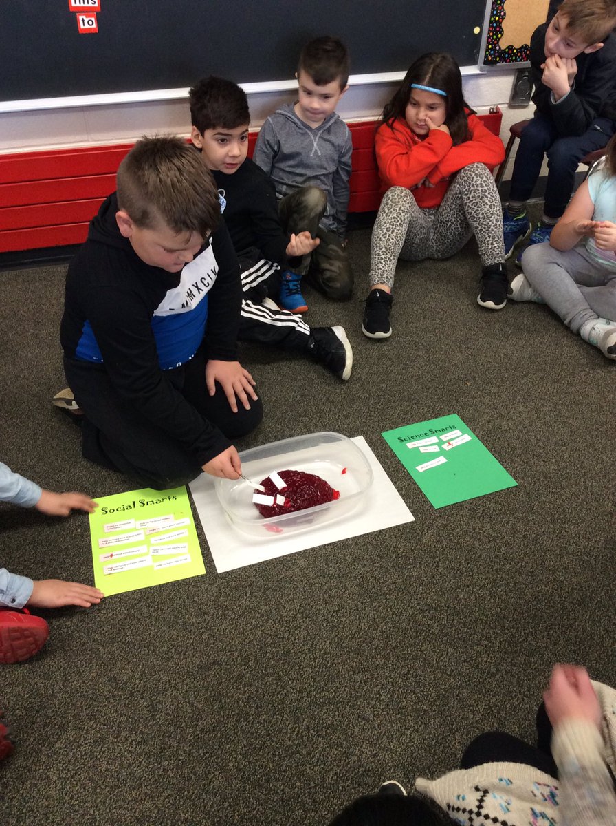 FeereLaura's tweet photo. 2A dissected a jello brain and learned that our brain contains both Social Smarts and Science Smarts. @MrsGrahamsClas1 @HDHurricanes https://t.co/ufyDJgaeC5
