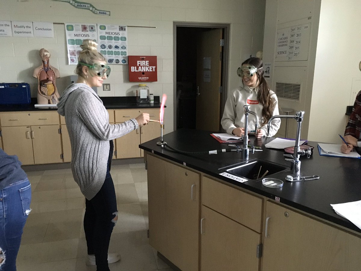 GerbeMHS's tweet photo. This lab is awesome!  Deserves two posts. https://t.co/RTIf3HsfAx