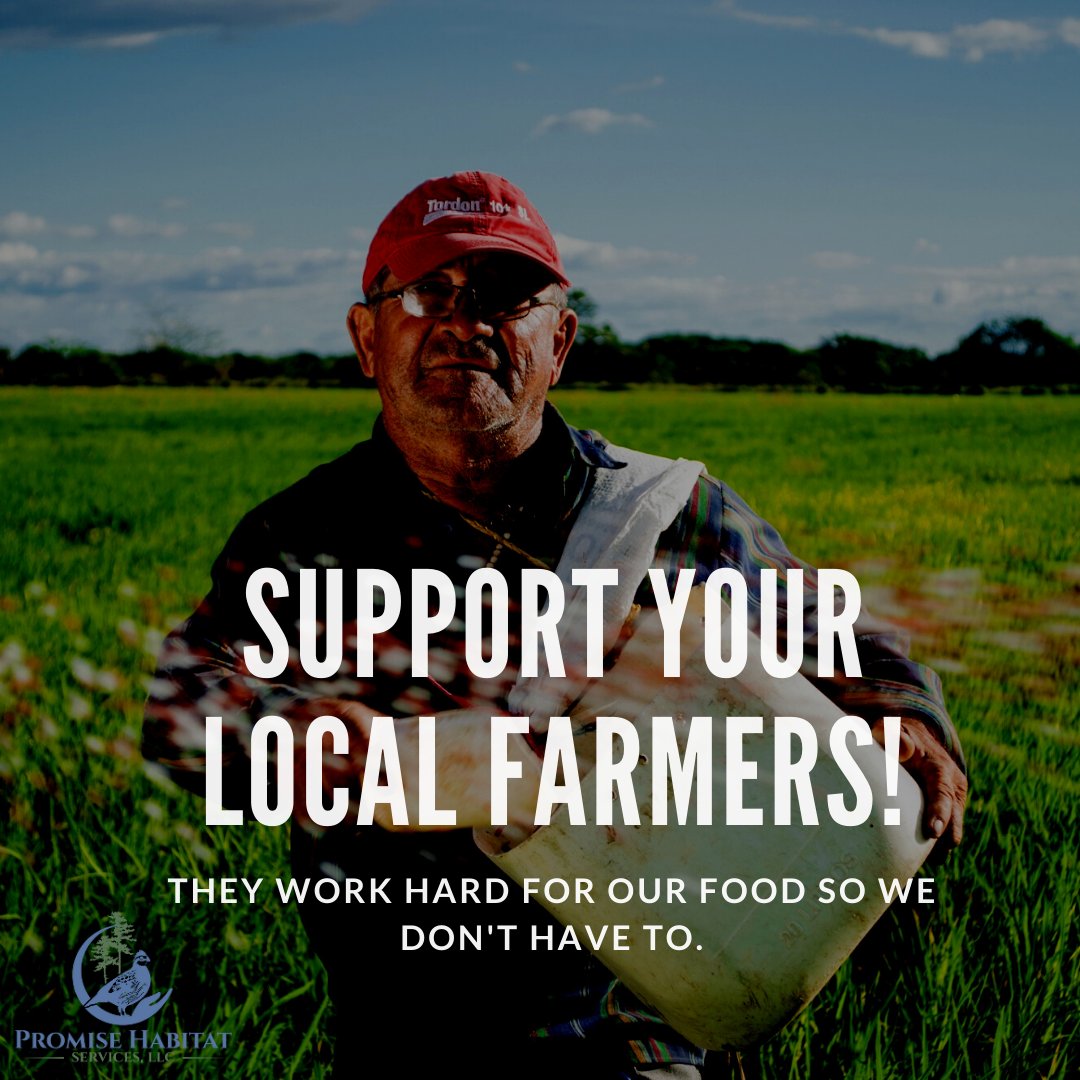 Promise_Habitat's tweet photo. No farmers, no food! Our local farmers work very hard to make sure that their community can eat. Support your local farmers by buying local, donating equipment, or volunteering your time!
•
•
•
•
•
#NoFarmersNoFood #SupportFarmers #Farmers #SupportLocal https://t.co/qGOJVdQ11Z