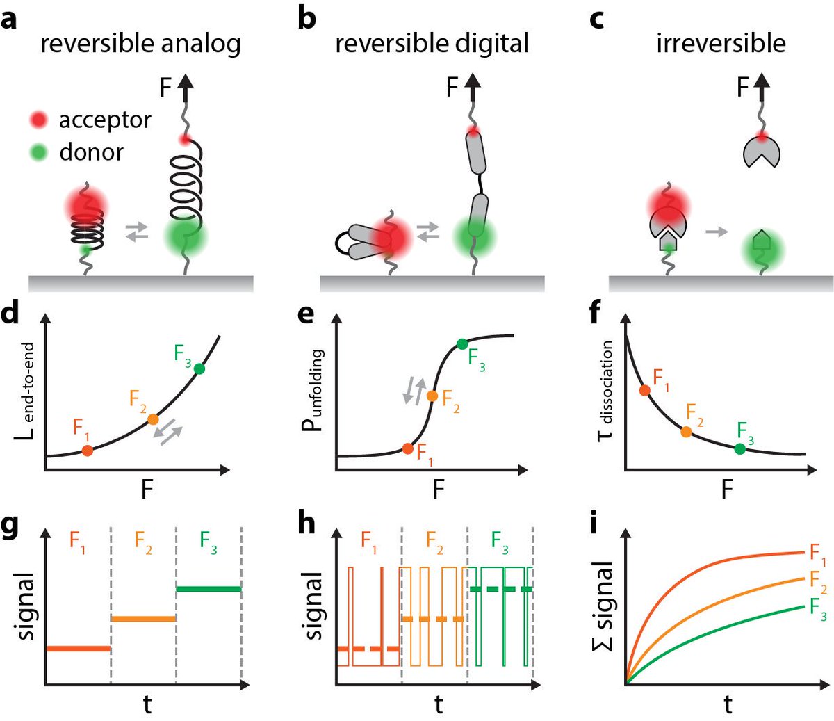 IsaacLiLab's tweet photo. Our recent review on the interpretation of different classes of molecular force sensor is published. Check it out here: https://t.co/jRUUoZj2v3
#mechanobiology #forcesensor https://t.co/jMm8rBvRHI