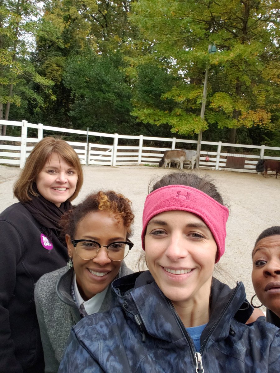cherylwscott's tweet photo. Moooo!!! @DrFloate @russell_sj @TweetDCS_HMS #TeamDCS #wegrewweareatthezoo https://t.co/kTgNSdRT4b