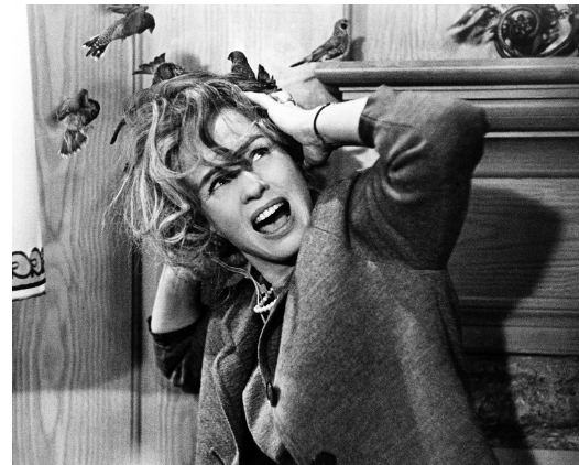 Thomas R Bruce tweet media