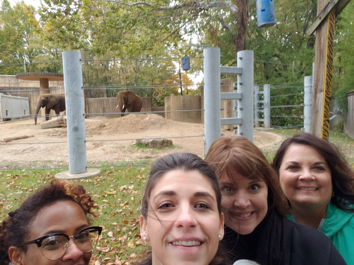 cherylwscott's tweet photo. @DrFloate @russell_sj @TweetDCS_HMS #TeamDCS #wegrewweareatthezoo https://t.co/p0SazgmwqX