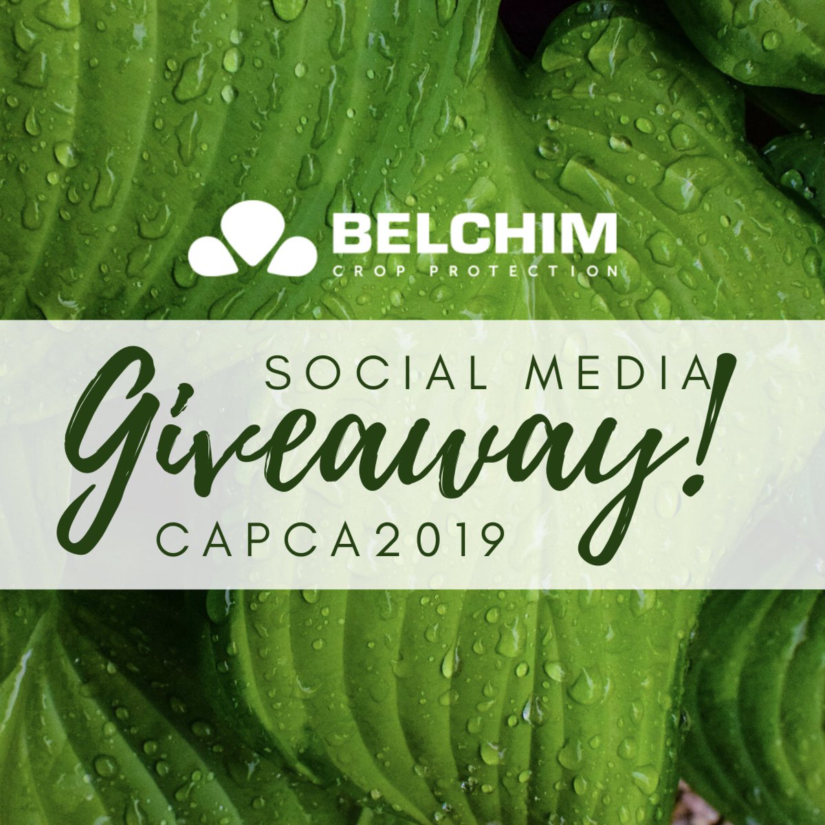 BelchimUSA's tweet photo. ‼️Attention #CAPCA2019 attendees!‼️Today is the last day of our Giveaway! Please visit Laura at Booth 109 for more info on how to enter. *This contest is only open to those who are attending the 45th Annual #CAPCA Conference &amp; Agri-Expo. No purchase necessary. https://t.co/A0TW1y1yKi