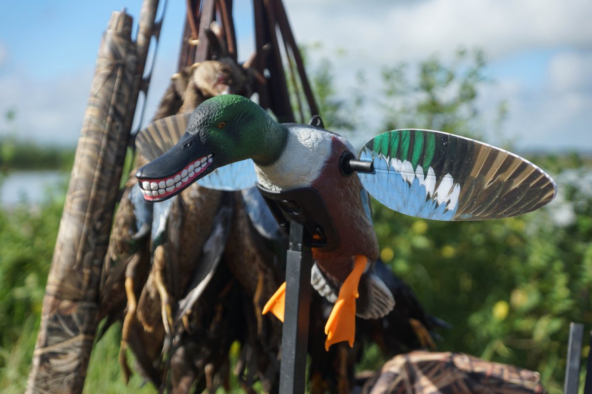 Mojo_Outdoors's tweet photo. With Christmas coming up, the Mojo Spoonzilla is the perfect gift for the duckhunter that has it all. Stop by a local sporting goods retailer near you or stop by the Mojo website at https://t.co/KY7CGdm85r.
#mojo #mojooutdoors #duckhunting #spoonzilla #waterfowlhunting https://t.co/vqW92Gkz3V