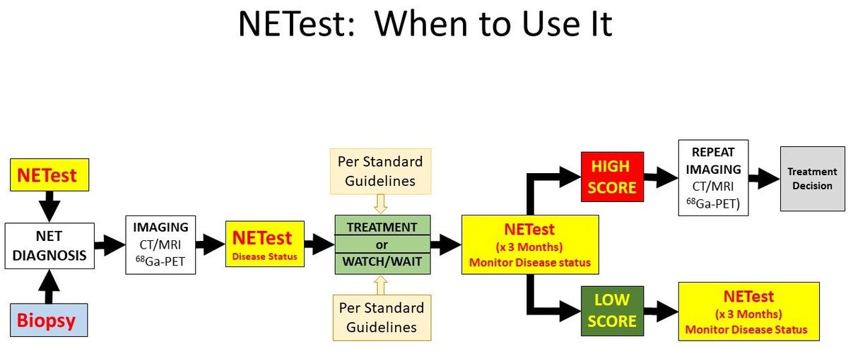 WrenLabs's tweet photo. Use of the NETest provides additional information about disease status that is complimentary to imaging and may decrease radiation exposure by decreasing the need for repetitive imaging. #Netcancers #NETs #NeuroendocrineCancer #LetsTalkAboutNETs 
#PrecisionMedicine @netcancerday https://t.co/Ax9ovfrYgV