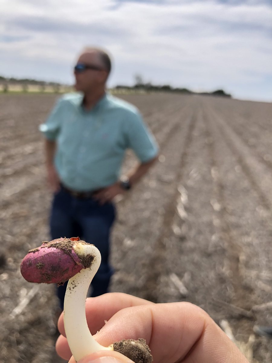 LovelandAR's tweet photo. John Griffin visitándonos en Argentina #mani2019 💪💪💪 https://t.co/nZlVhJFEJ8